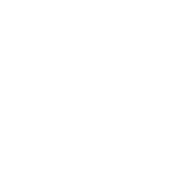 Bronze Partner 